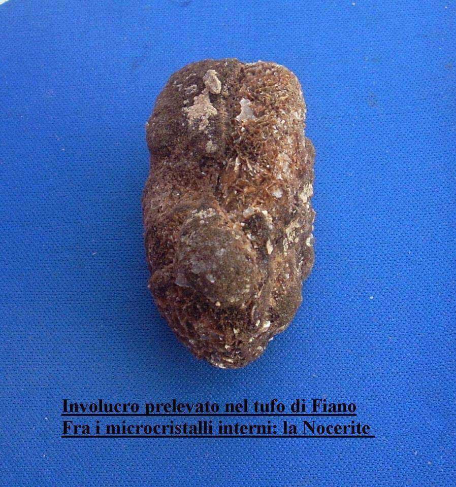 nocerinite