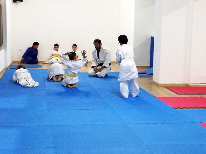 judo3