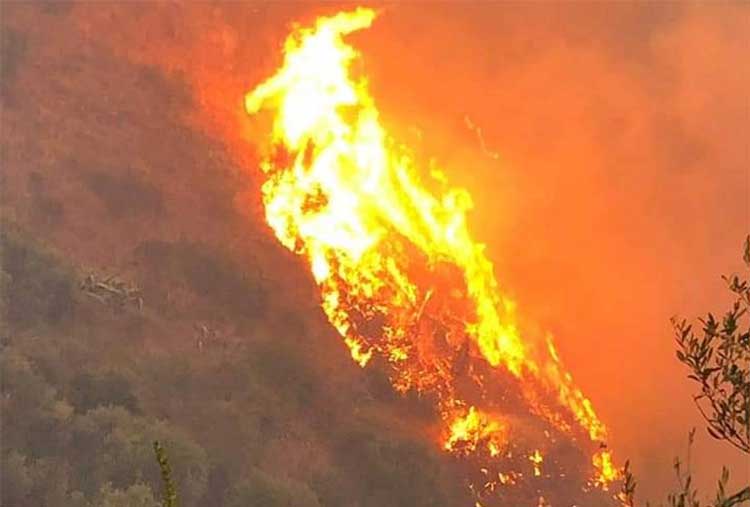 È stato spento il devastante incendio che è stato appiccato al monte Saretto a Sarno