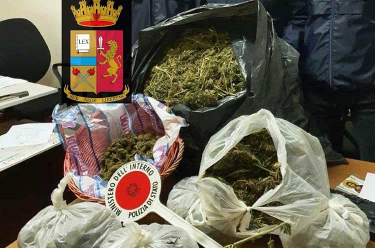 parte della marijuana sequestrata a Campolongo