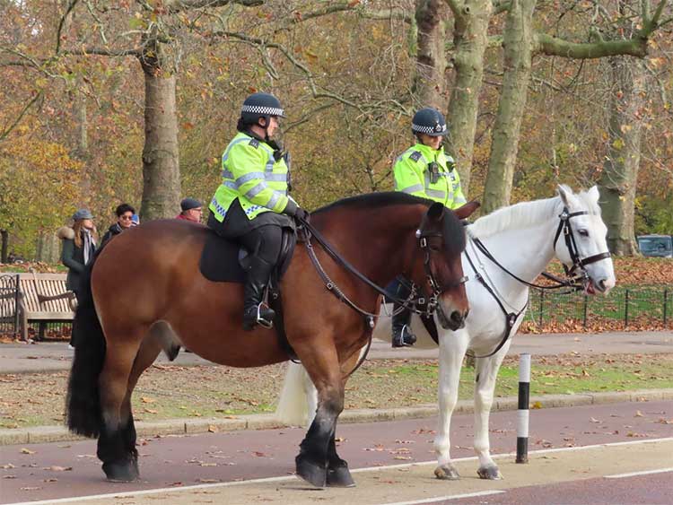 poliziotti a cavallo