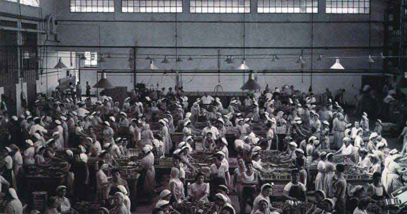 il lavoro in fabbrica nella prima meta del 900