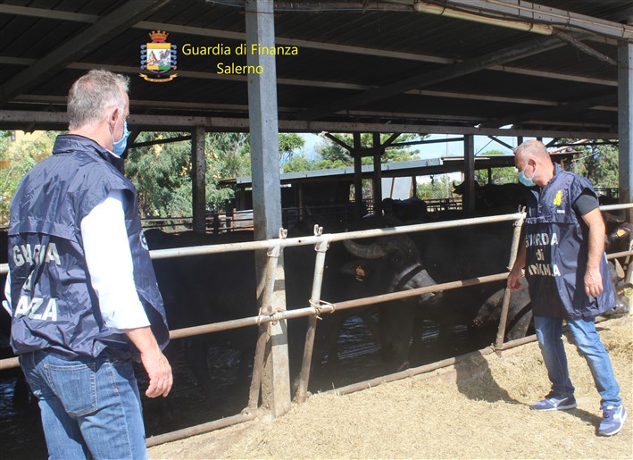 azienda agricola gdf