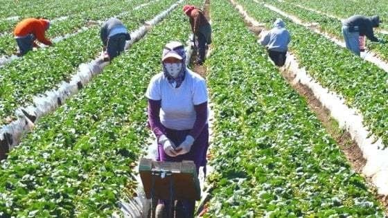 lavoratori in nero