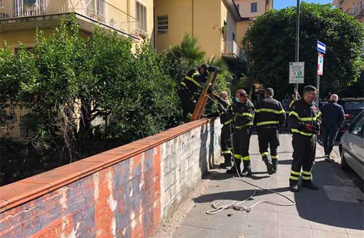 vigili del fuoco