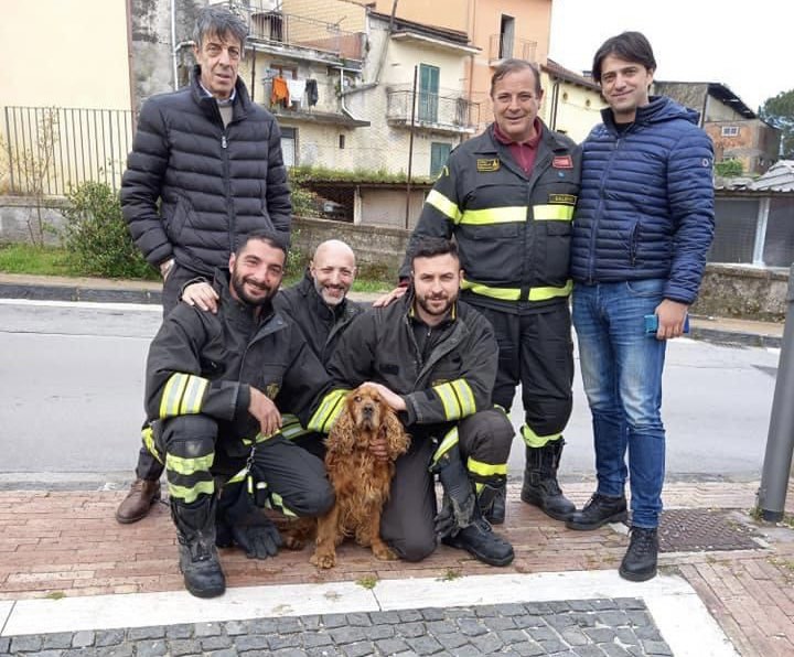 cane canale nocera sup1