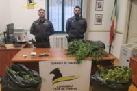 Coltivazione di canapa sul terrazzo di casa, sequestro della Guardia di Finanza a Cava